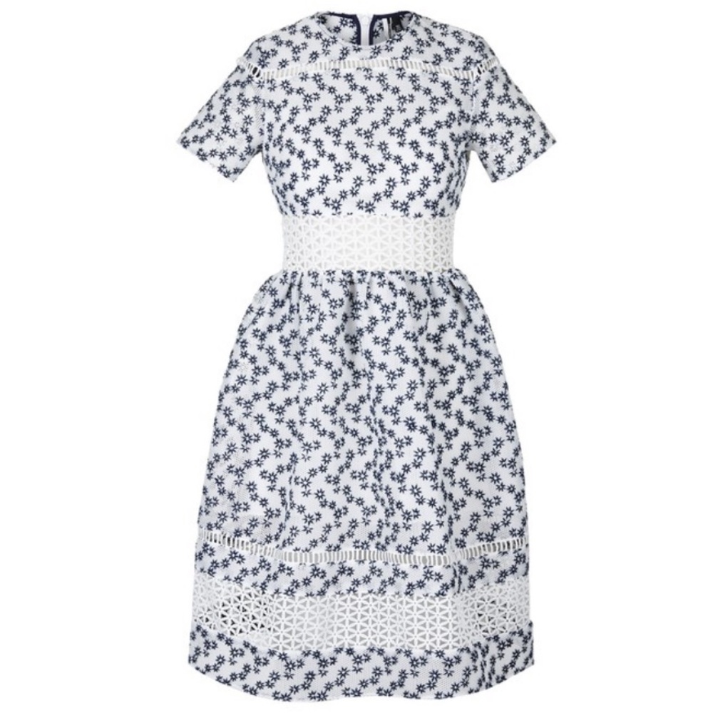 Topshop Limited Edition Daisy Dress - Picture 3 of 8